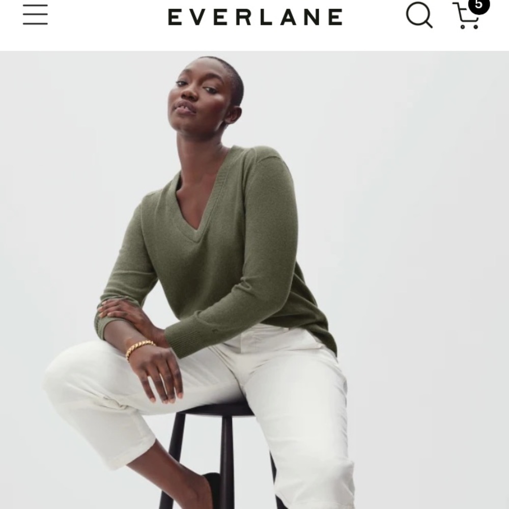 Everlane cashmere sweater